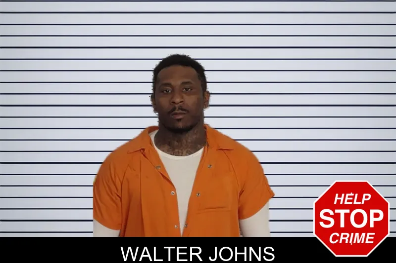 Walter Johns Mugshots