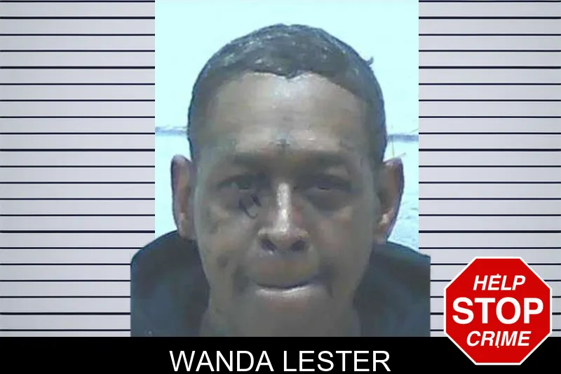 Wanda Lester Mugshots