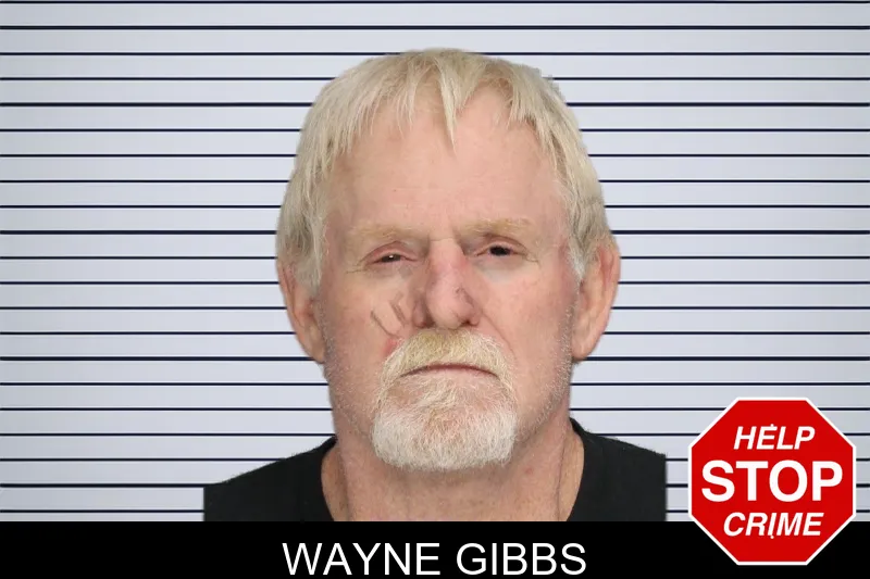 Wayne Gibbs mugshot – Cobb County , Georgia Wayne Gibbs mugshot