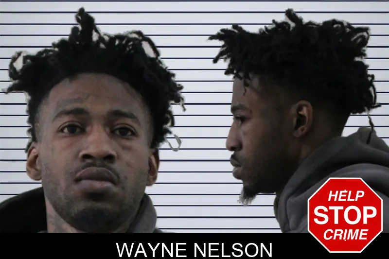 Wayne Nelson mugshot
