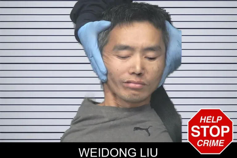 Weidong Liu mugshot – Gwinnett County , Georgia Weidong Liu