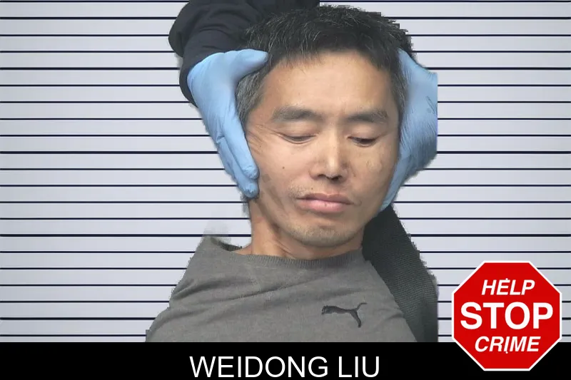 Weidong Liu mugshot