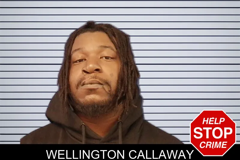 Wellington Callaway Mugshots
