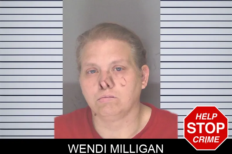 Wendi Milligan Mugshots