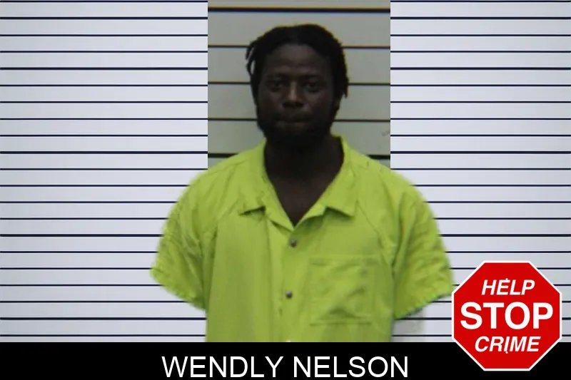 Wendly Nelson Mugshots