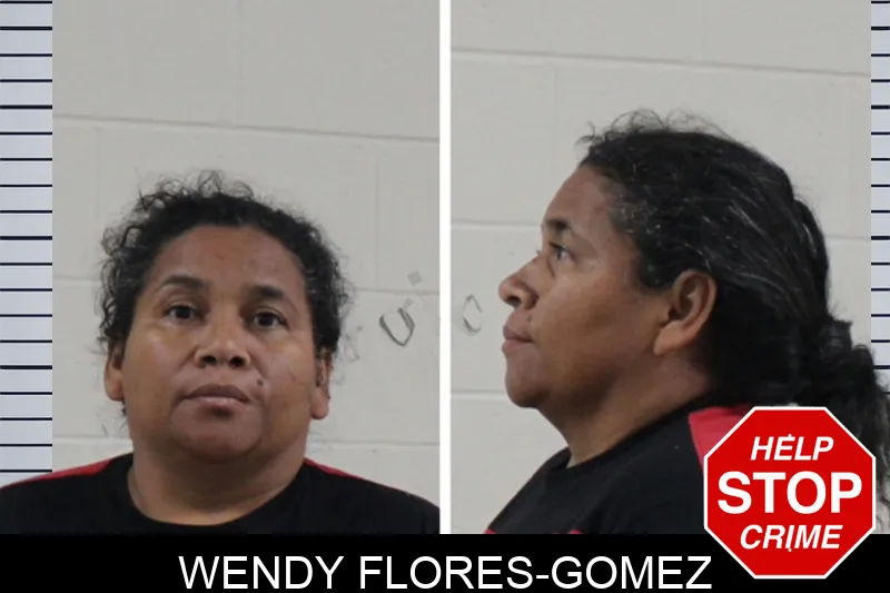 Wendy Flores-Gomez Mugshots