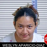 Weslyn Aparicio-Diaz Mugshots