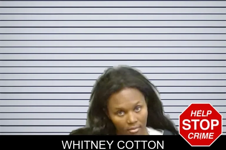 Whitney Cotton