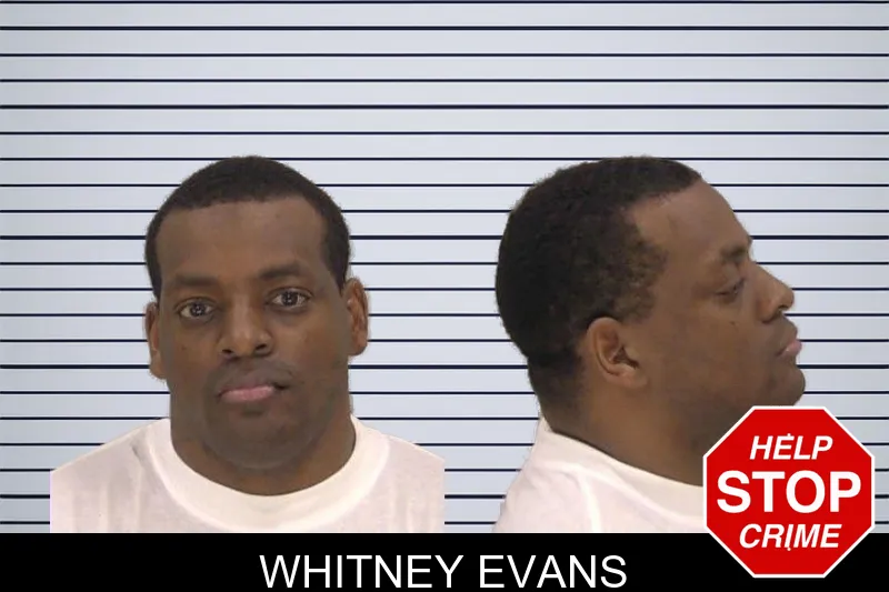 Whitney Evans mugshot