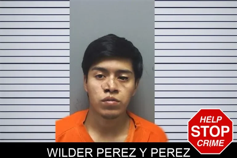 Wilder Perez Y Perez
