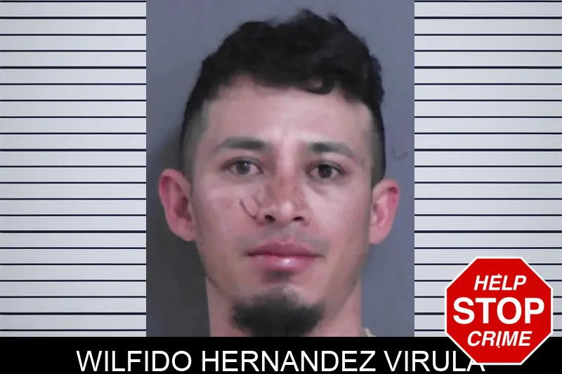 Wilfido Hernandez Virula Mugshots