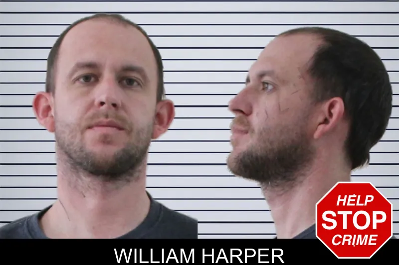 William Harper mugshot – Houston County , Georgia William Harper mugshot