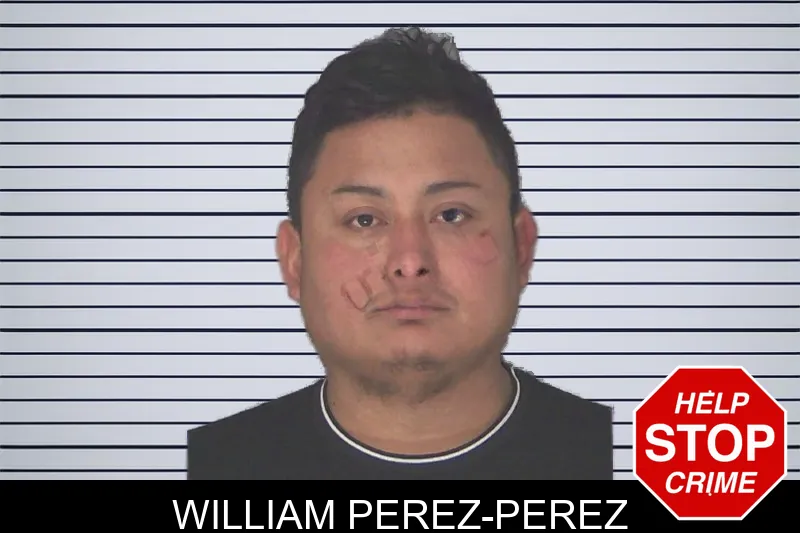 William Perez-Perez mugshot