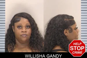 Willisha Gandy mugshot