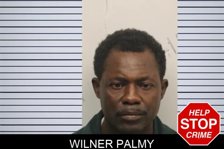 Wilner Palmy