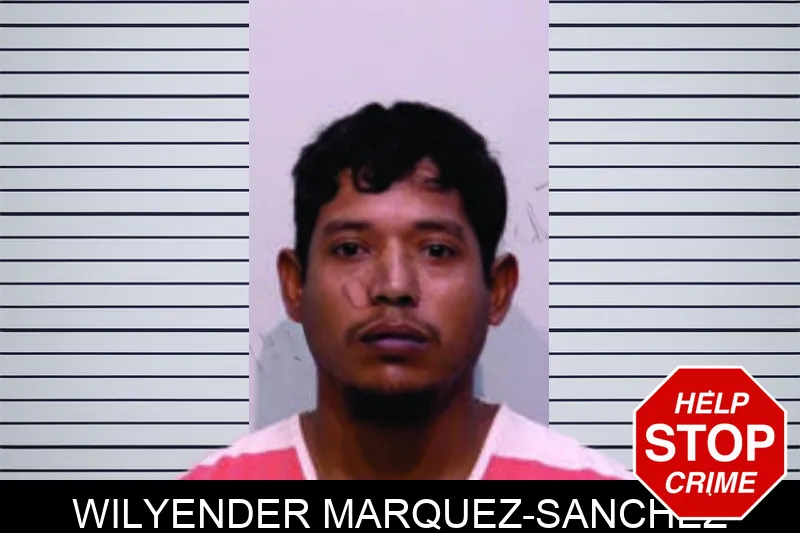 Wilyender Marquez-Sanchez mugshot