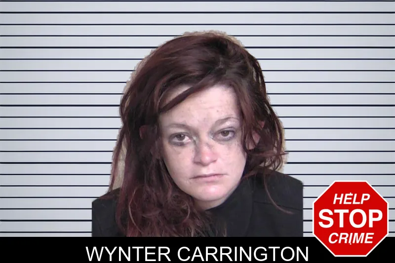 Wynter Carrington mugshot – Walker County , Georgia Wynter Carrington mugshot