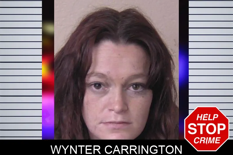 Wynter Carrington Mugshots