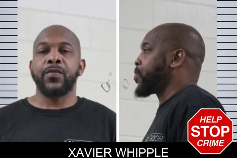 Xavier Whipple