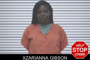 Xzarianna Gibson mugshot