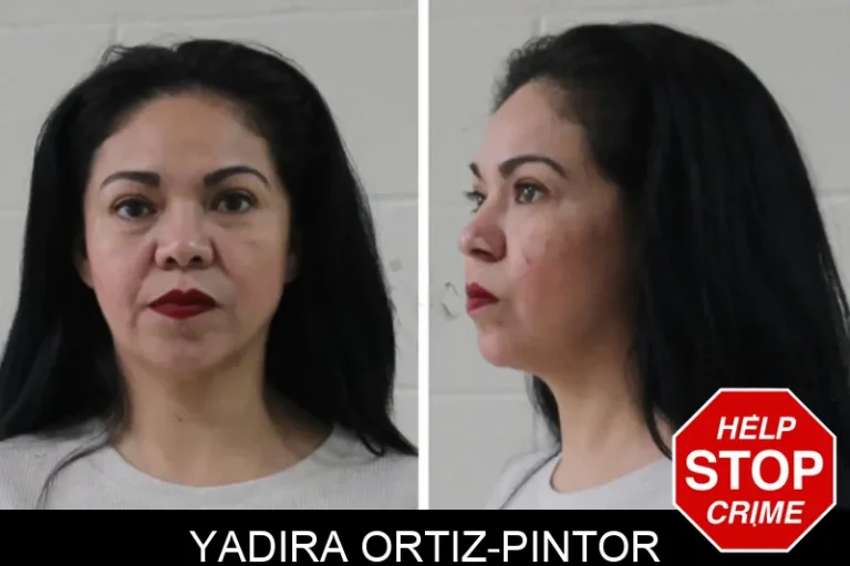 Yadira Ortiz-Pintor