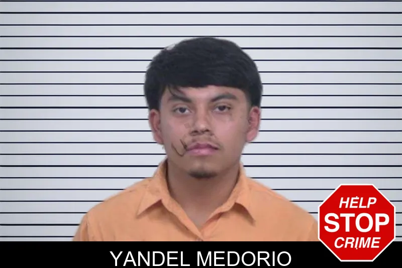 Yandel Medorio Mugshots