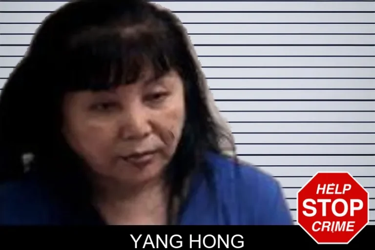 Yang Hong mugshot – Henry County , Georgia Yang Hong