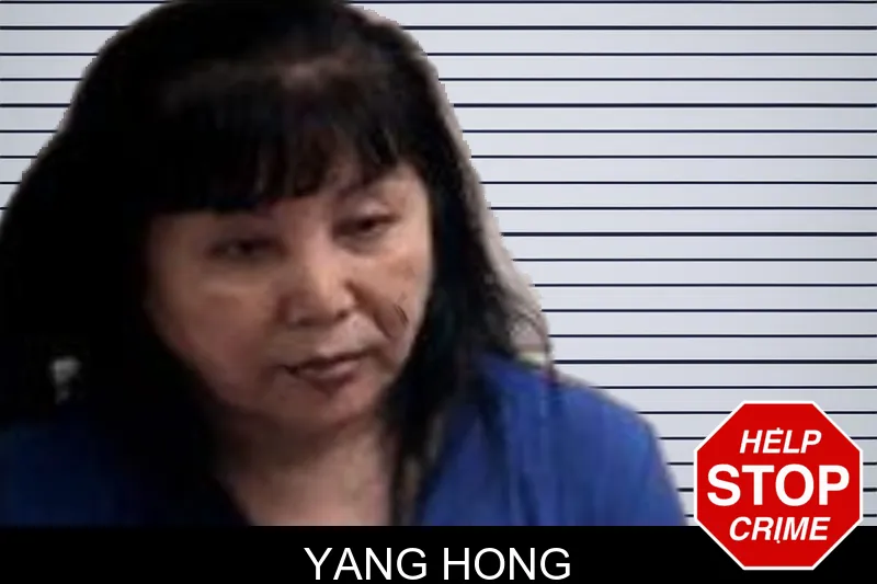 Yang Hong mugshot