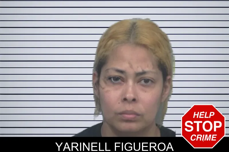 Yarinell Figueroa mugshot – Gwinnett County , Georgia Yarinell Figueroa mugshot
