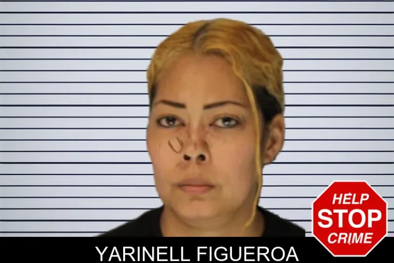 Yarinell Figueroa mugshot – Hall County , Georgia Yarinell Figueroa
