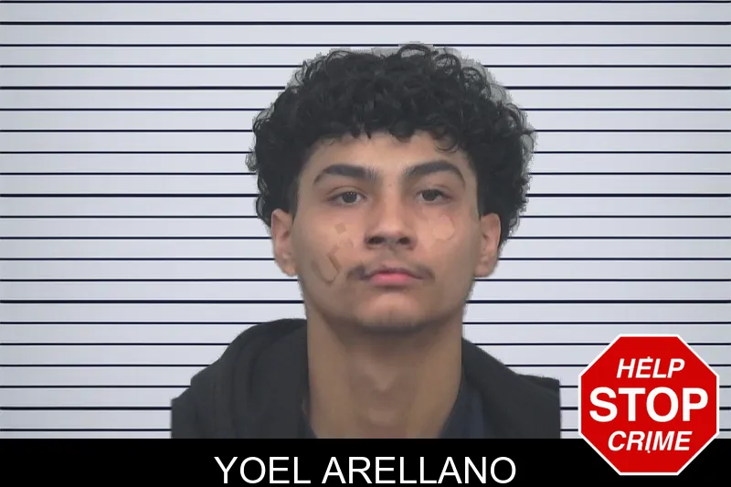 Yoel Arellano mugshot – Gwinnett County , Georgia Yoel Arellano mugshot