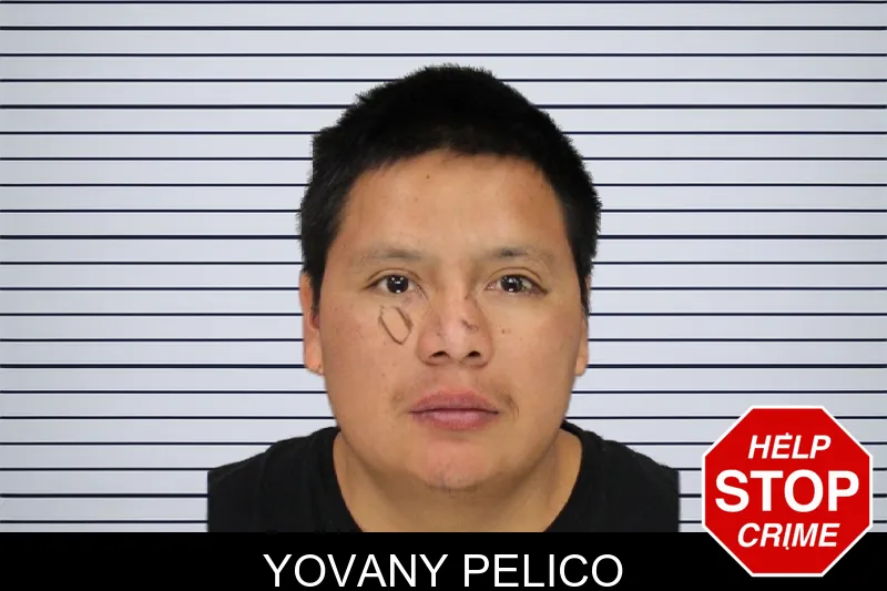 Yovany Pelico mugshot