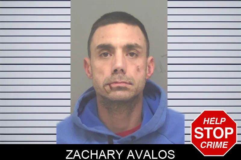Zachary Avalos Mugshots