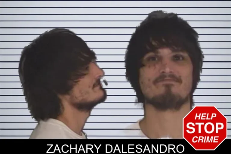 Zachary Dalesandro mugshot – Barrow County , Georgia Zachary Dalesandro