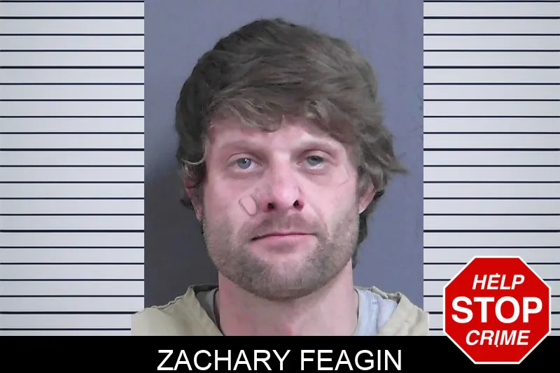 Zachary Feagin Mugshots