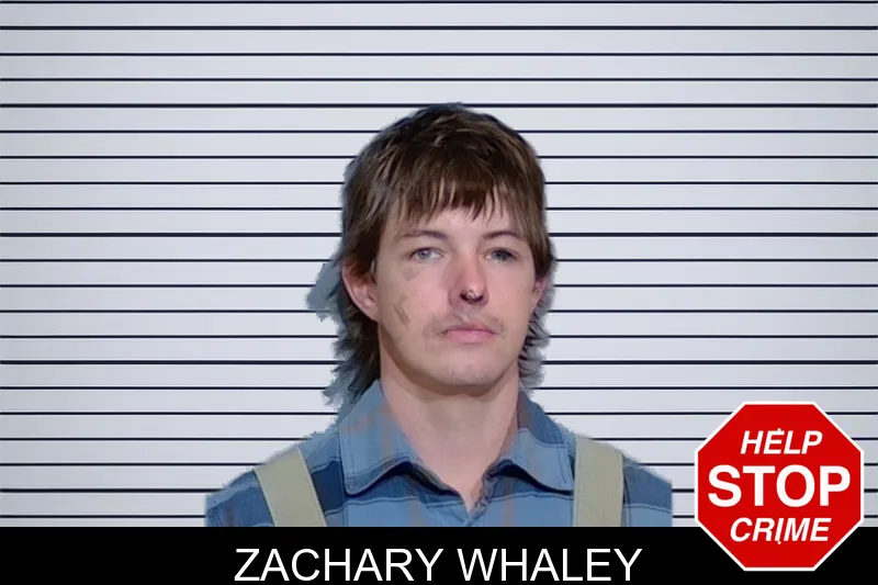 Zachary Whaley Mugshots
