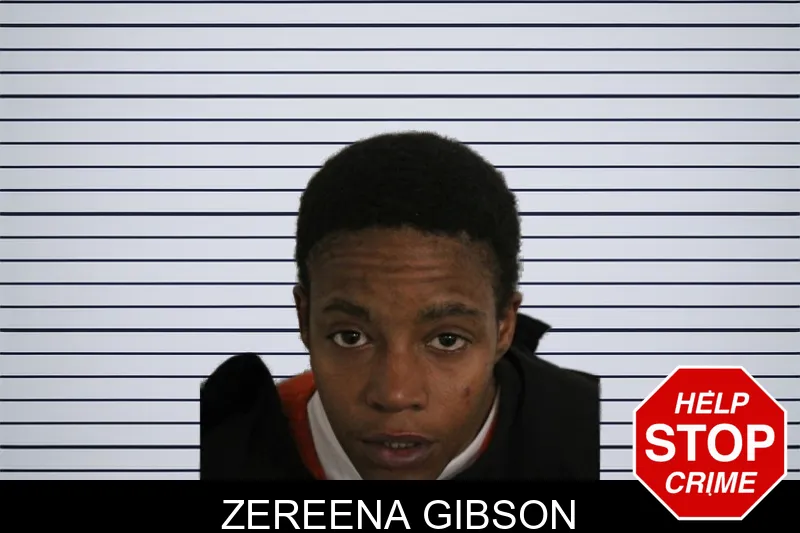 Zereena Gibson Mugshots