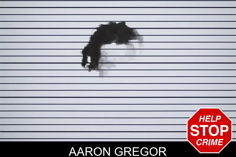 Aaron Gregor mugshot