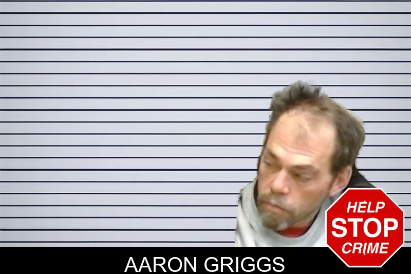 Aaron Griggs mugshot