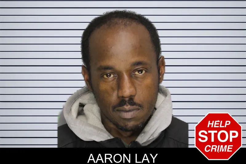 Aaron Lay mugshot