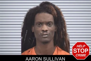 Aaron Sullivan mugshot