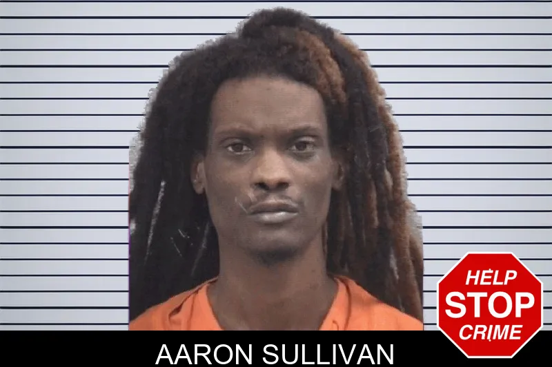 Aaron Sullivan mugshot