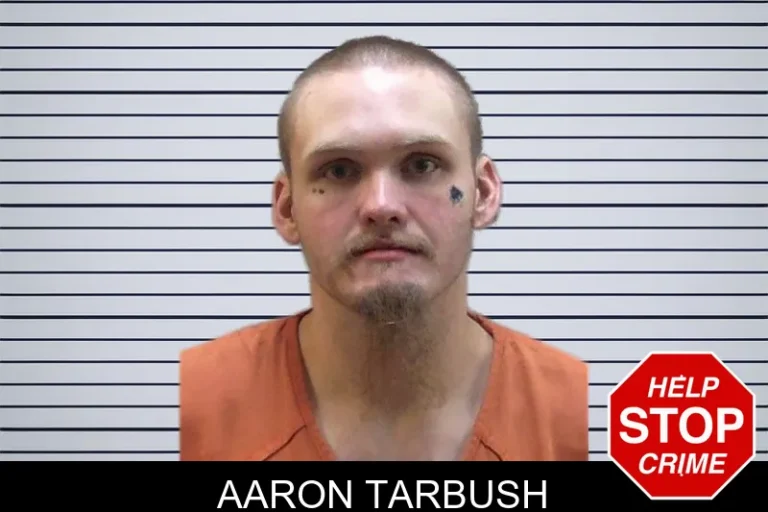 Aaron Tarbush