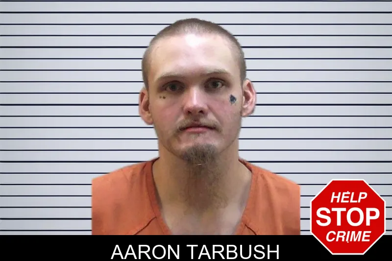 Aaron Tarbush mugshot – Madison County , Georgia Aaron Tarbush mugshot