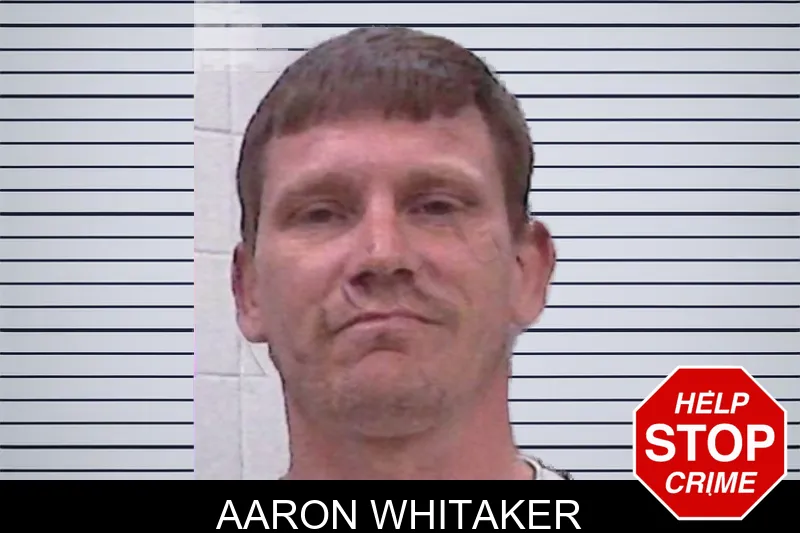 Aaron Whitaker mugshot – Screven County , Georgia Aaron Whitaker mugshot