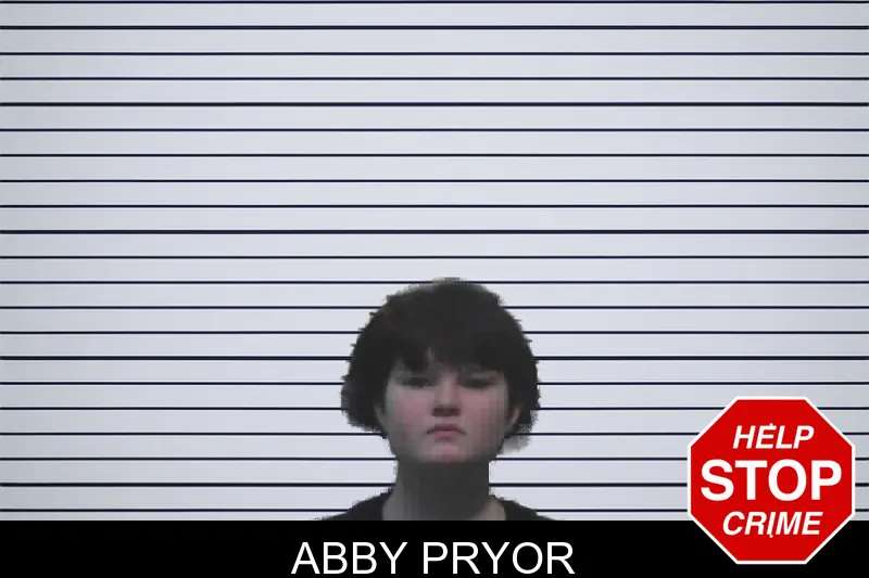 Abby Pryor mugshot – Meriwether County , Georgia Abby Pryor mugshot