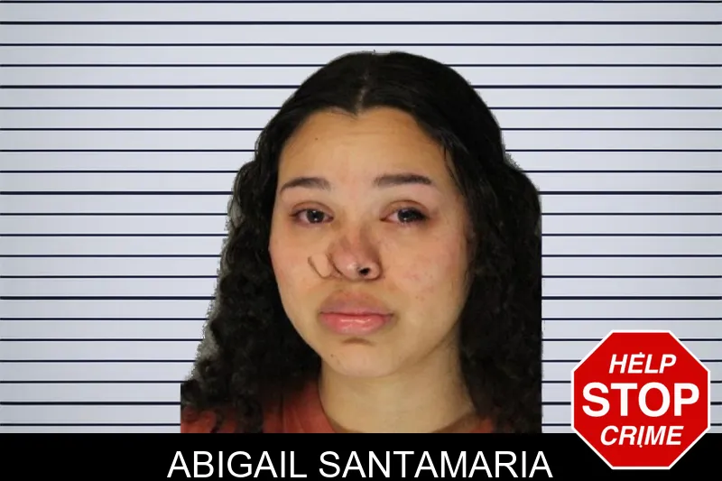 Abigail Santamaria mugshot