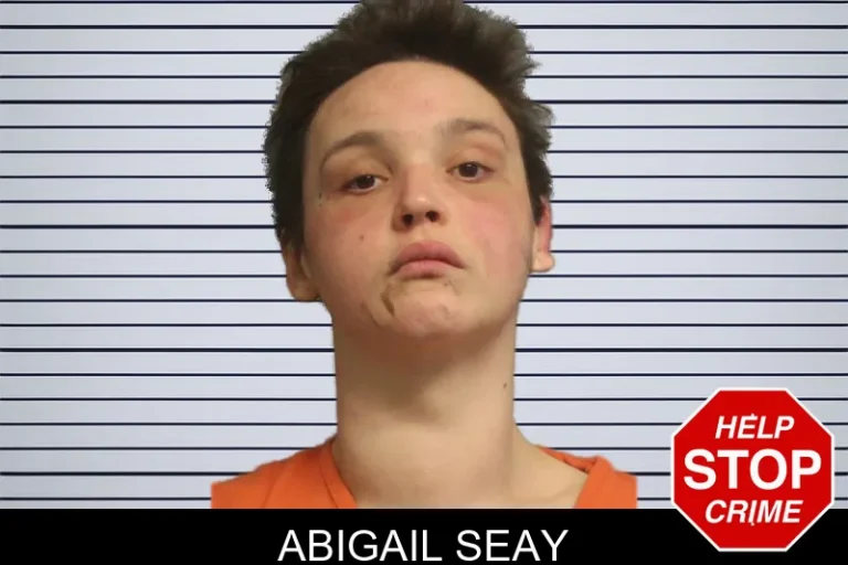 Abigail Seay mugshot – Lumpkin County , Georgia Abigail Seay