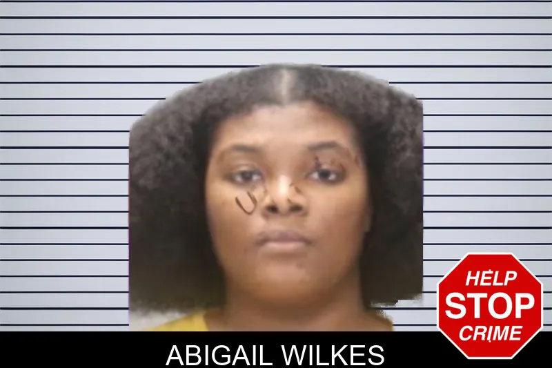 Abigail Wilkes mugshot