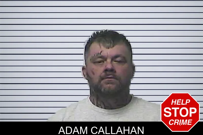 Adam Callahan mugshot